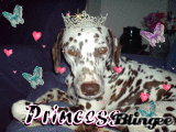 Princess Krystal