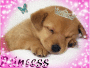 SHHHHHHH HE IS SLEPING 