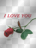 I love you