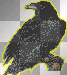 Raven
