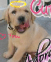 Cutie!!;)
