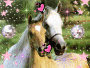 horses in luv