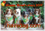 AusSiebelts' HowliDay