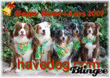 AusSiebelts' HowliDay