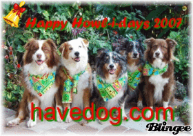 AusSiebelts' HowliDay