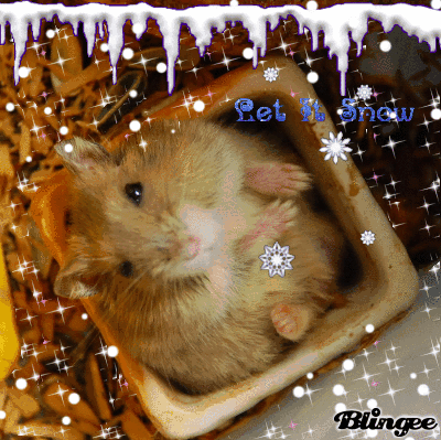 my pet2