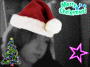 Merry Christmas !
