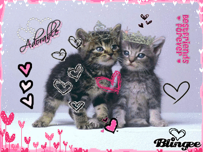 Princess Kitty Friends Princess Kitty Friends