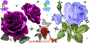 Glitter Graphics