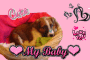 My Puppy