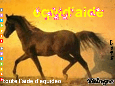 equid'aide