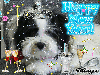 Lola New Year