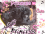 TESS MY DOG
