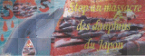 Massacre des dauphins