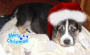 waiting for santa