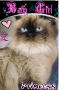 ceasarcat