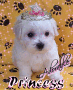 princess