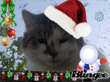 Kevin e il Natale!!!
