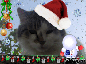 Kevin e il Natale!!!