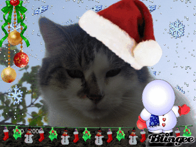 Kevin e il Natale!!!