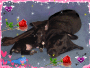 Meine zwei Babys