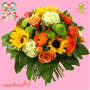 Animated Picture