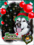 xmas2007