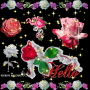 Animated Picture
