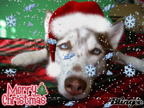 Kristal Christmas