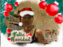 Buon Natale.