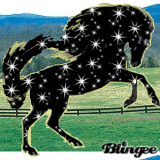 Horses