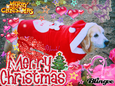 xmas love