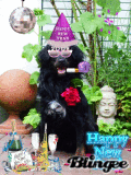 Emil der Partykönig