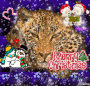 happy chrismas IM