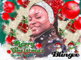merry christmas 2