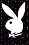 Lady Playboy