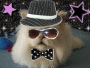 Cool cat Ready to Pawty!