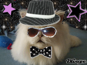 Cool cat Ready to Pawty!