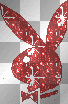 PLAYBOY