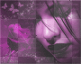 purple passion