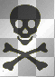 skull skull
