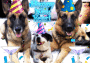 Happy New Year! 1