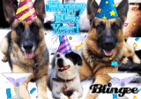 Happy New Year! 1