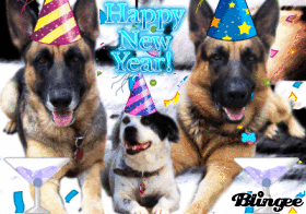Happy New Year! 1