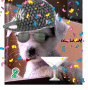 Happy New Year 2008