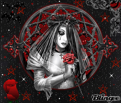rose rose