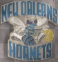 hornets rock