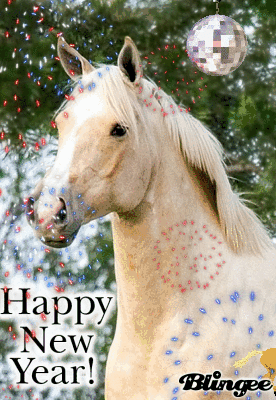 happy new year!