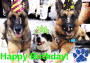 Happy Birthday!