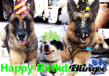 Happy Birthday!